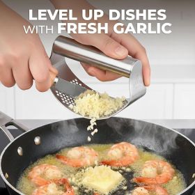 Kitchen Stainless Steel Garlic Press Rocker Set - Time Saving